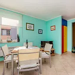 Sunfun Cizici